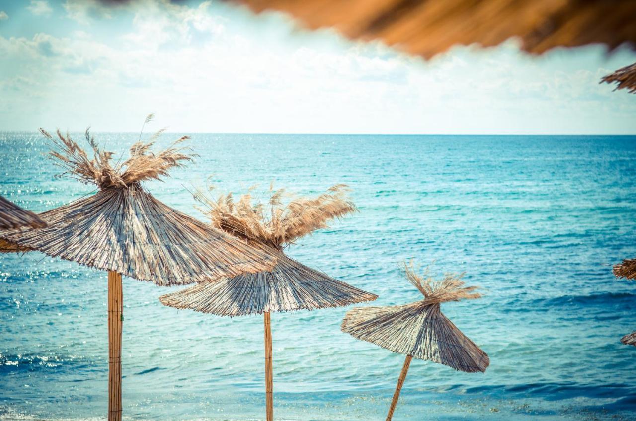 Visit Sunny Beach Marina Apartments رافدا المظهر الخارجي الصورة